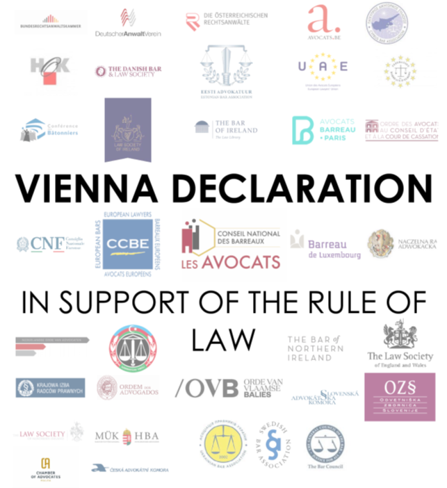 Read more about the article VIENNA DECLARATION